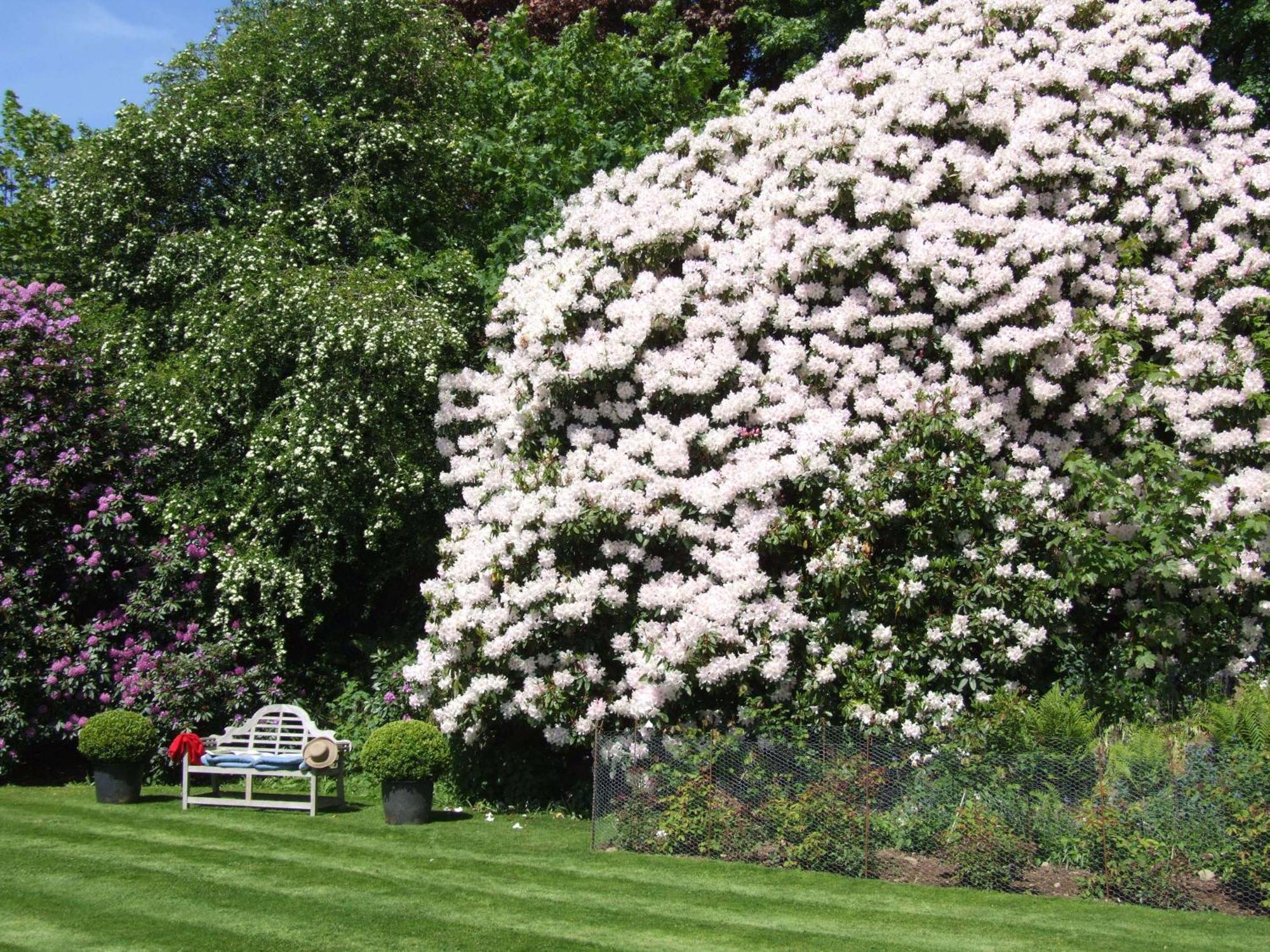 Kinloch House Hotel Blairgowrie and Rattray Экстерьер фото